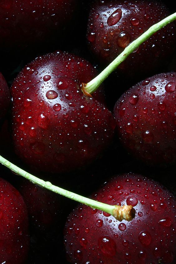 cherries to represent the scent category fruity for the brand defrei  