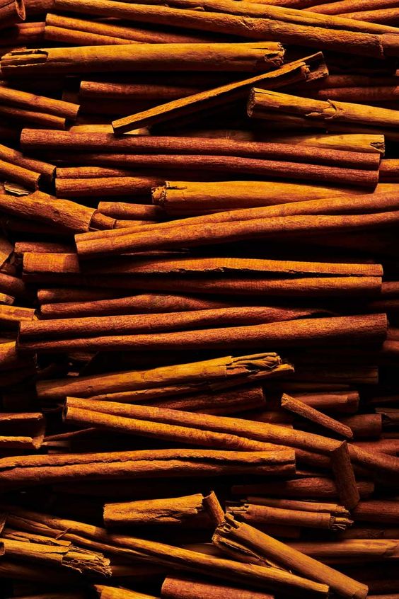 close up of the BASE notes ingredient, cinnamon which is used in the scented candle SAFFRON