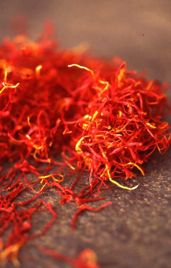 close up of the middle notes ingredient, saffron which is used in the scented candle SAFFRON