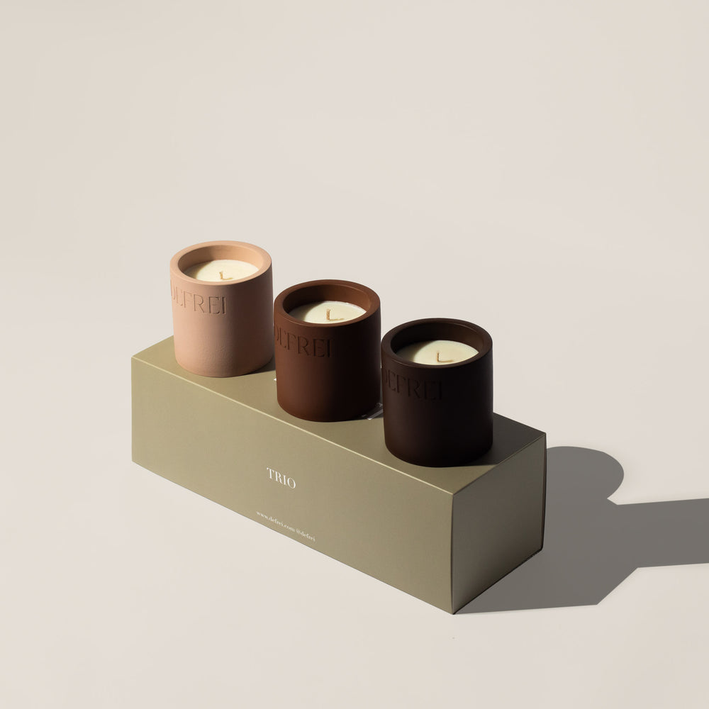 Sustainable packaging trio of scented candles resting on a box showing LOBBY, AMOR and VANNILE